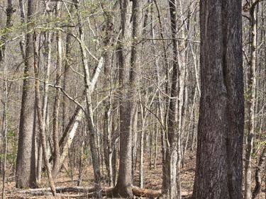 0 Equestrian Trail Road, New Canton, VA 23123