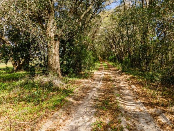 TBD SW 298 STREET, NEWBERRY, FL 32669