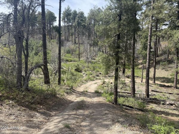 00 E WILD FLOWER Road, Unit -, Crown King, AZ 86343