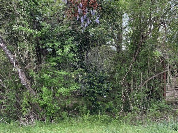 10860 Gibson Road, Laurel Hill, NC 28351