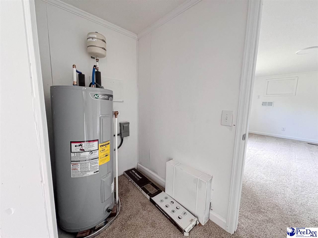 3809 E Effingham Hwy Photo 21