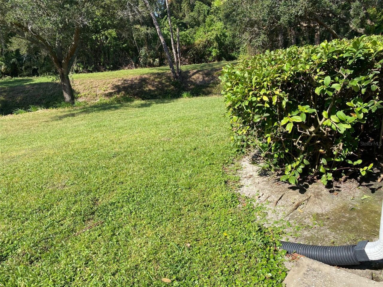 9100 Dr Martin Luther King Jr Street N, Unit 1505, Saint Petersburg, FL 33702 Photo