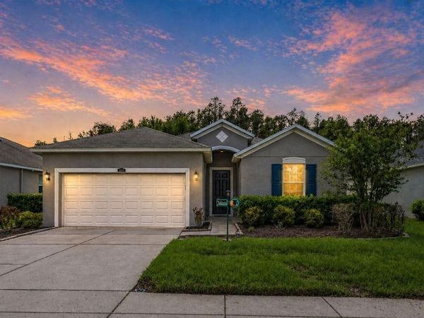 3839 GRECKO DRIVE, WESLEY CHAPEL, FL 33543