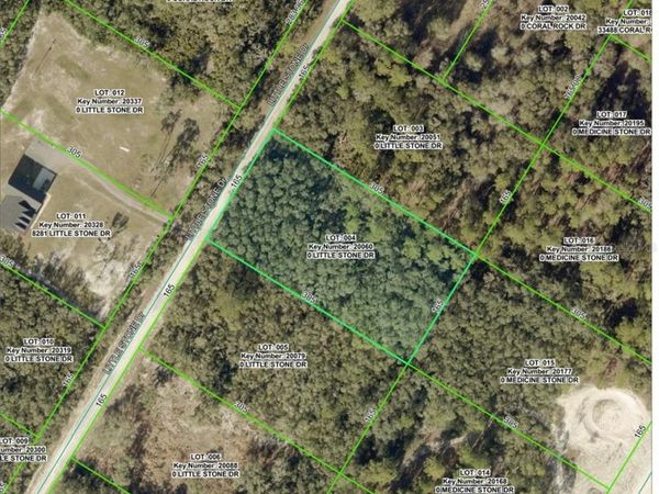 000 LITTLE STONE DRIVE , WEBSTER, FL 33597