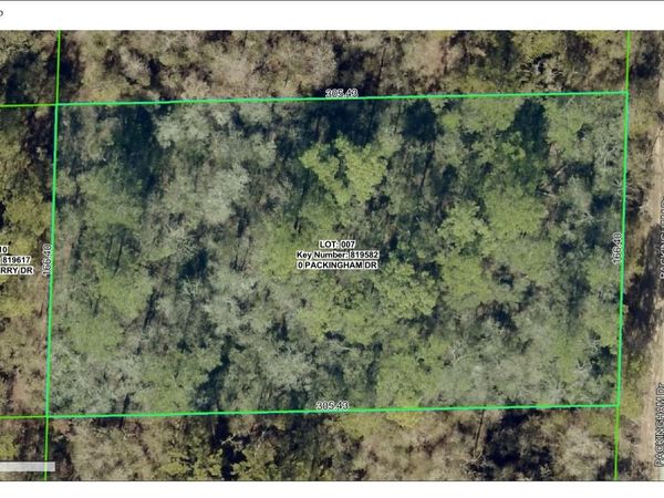 000 PACKINGHAM DRIVE , WEBSTER, FL 33597