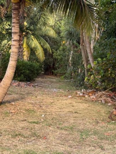 1319 E Hillsboro Boulevard, Unit 412, Deerfield Beach, FL 33441 Photo