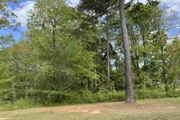 200 Clubside Drive  photo 4