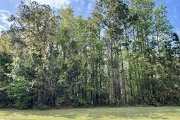 115 Hidden Lane  photo 4