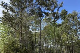 143 Hidden Lane  photo 4