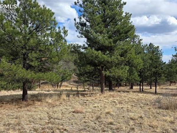 2002 Comanche Circle, Florissant, CO 80816