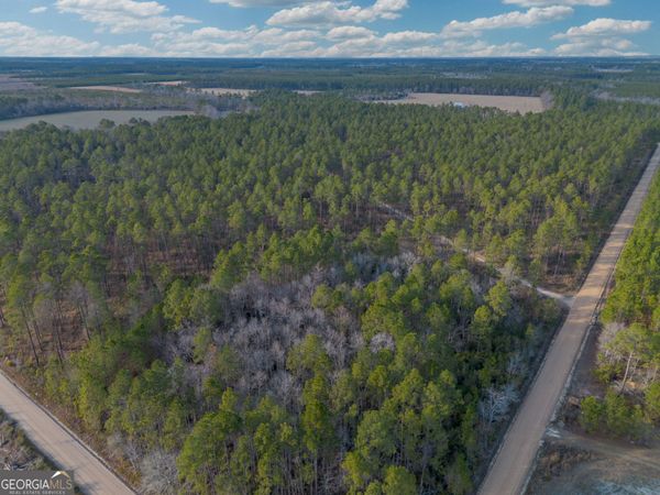 TRACT 5 Reddish Road, Odum, GA 31555