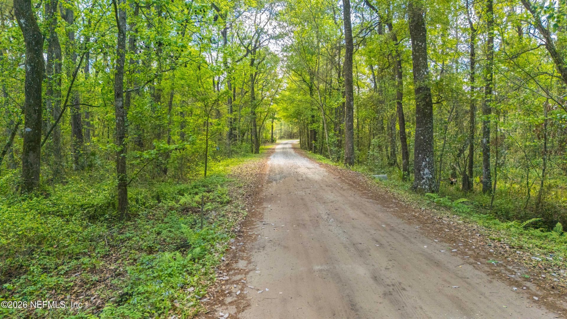 0 County Road 218, Clay Hill, FL 32234 Photo