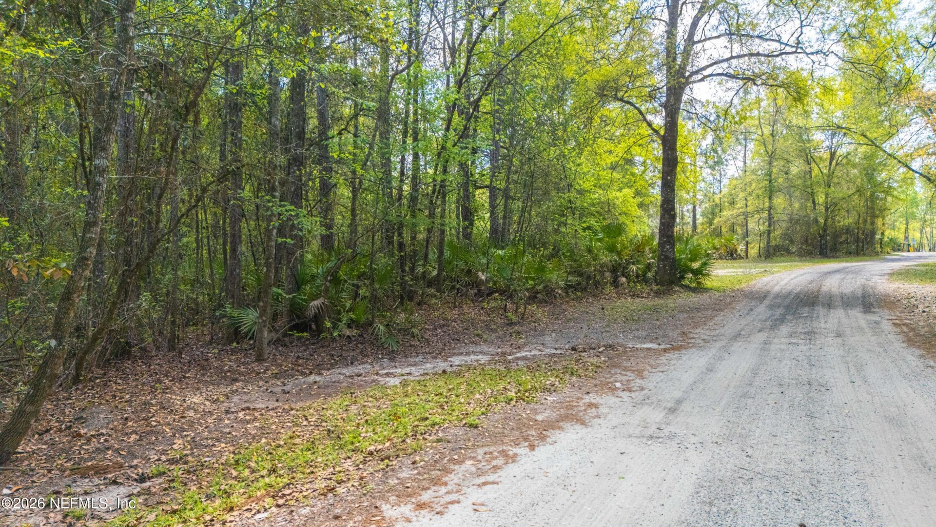 0 County Road 218, Clay Hill, FL 32234 Photo