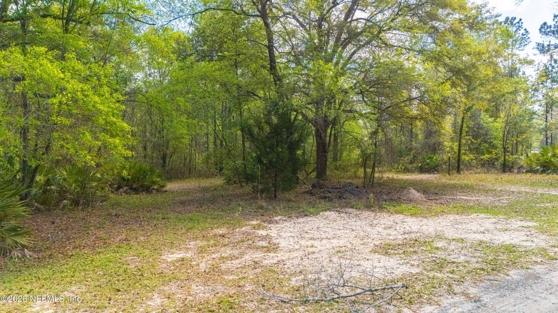 0 County Road 218, Clay Hill, FL 32234 Photo