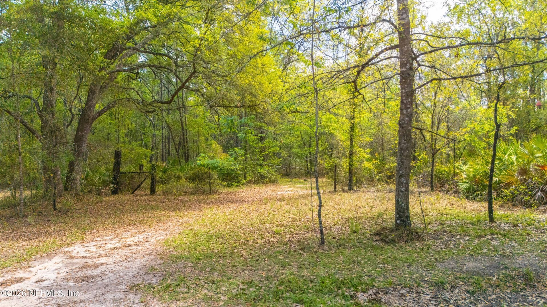 0 County Road 218, Clay Hill, FL 32234 Photo