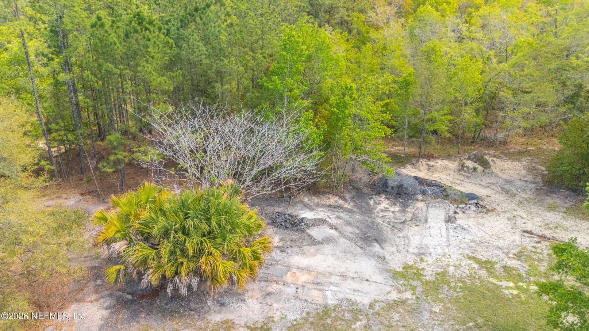 0 County Road 218, Clay Hill, FL 32234 Photo