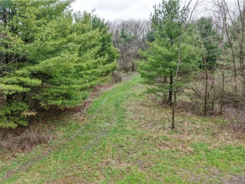 5742 Hilltop Drive NW, Strasburg, OH 44680 Photo 13