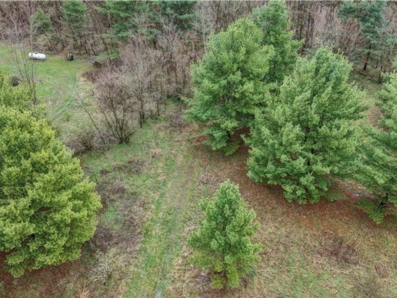 5742 Hilltop Drive NW, Strasburg, OH 44680 Photo 14