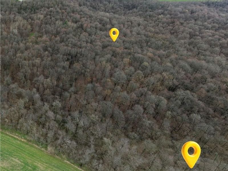 5742 Hilltop Drive NW, Strasburg, OH 44680 Photo 18