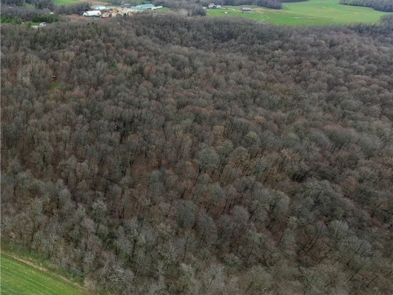 5742 Hilltop Drive NW, Strasburg, OH 44680 Photo 19