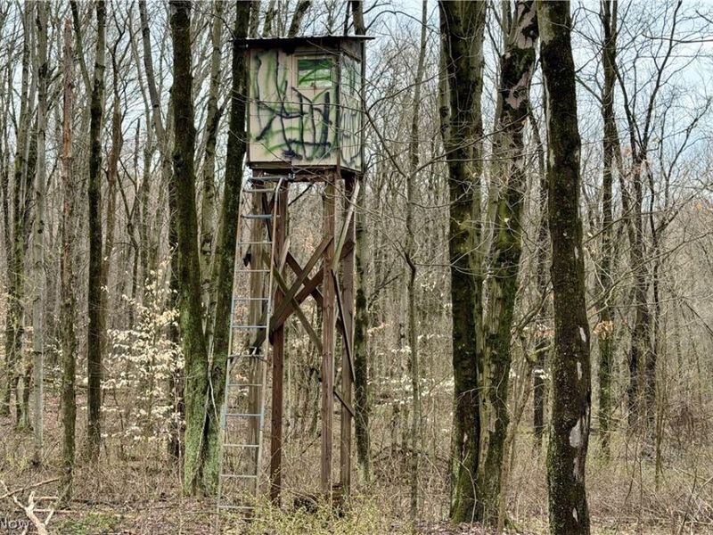 5742 Hilltop Drive NW, Strasburg, OH 44680 Photo 21