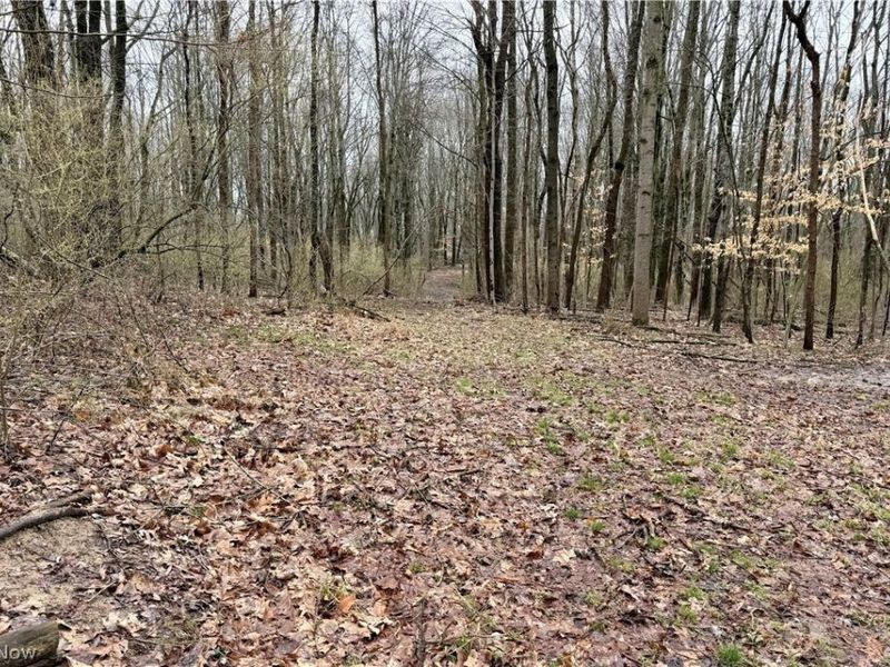 5742 Hilltop Drive NW, Strasburg, OH 44680 Photo 22