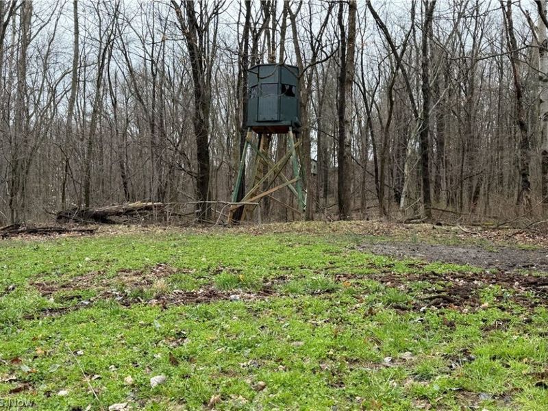 5742 Hilltop Drive NW, Strasburg, OH 44680 Photo 23