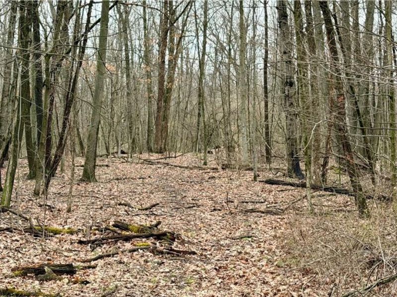 5742 Hilltop Drive NW, Strasburg, OH 44680 Photo 24