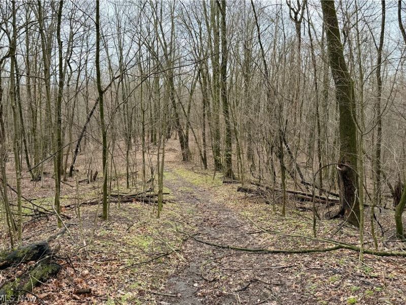 5742 Hilltop Drive NW, Strasburg, OH 44680 Photo 26