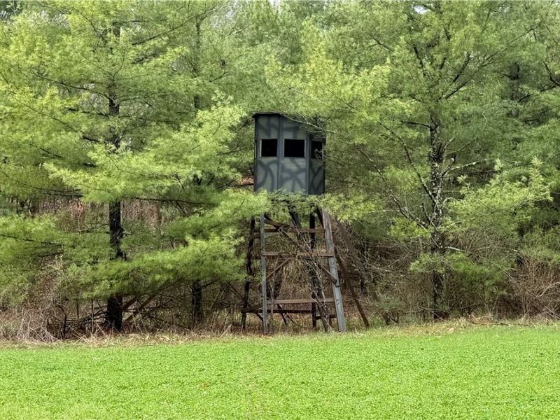 5742 Hilltop Drive NW, Strasburg, OH 44680 Photo 27