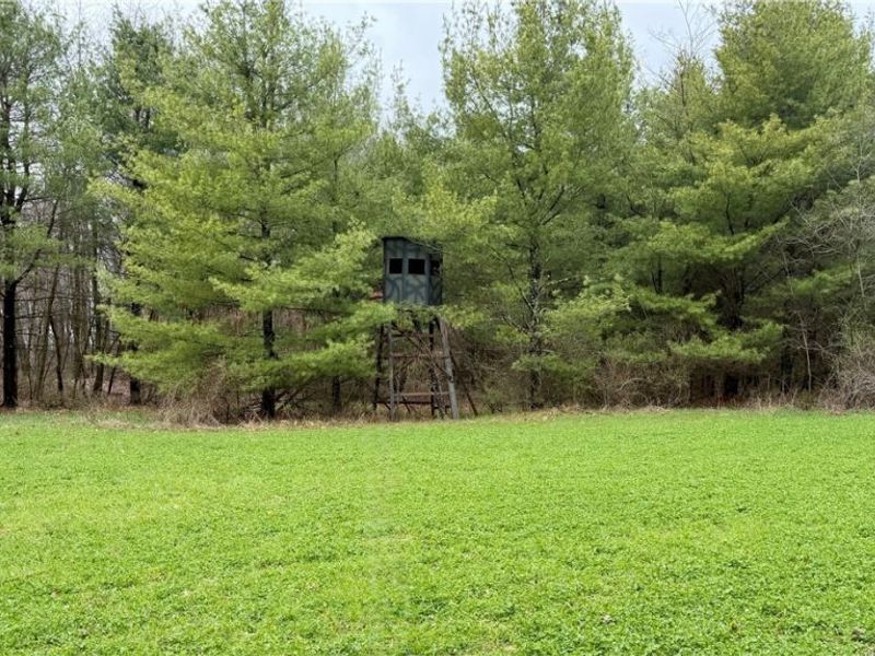 5742 Hilltop Drive NW, Strasburg, OH 44680 Photo 28