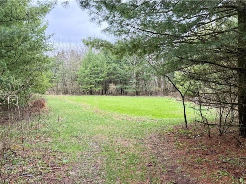 5742 Hilltop Drive NW, Strasburg, OH 44680 Photo 30