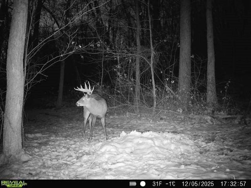 5742 Hilltop Drive NW, Strasburg, OH 44680 Photo 32