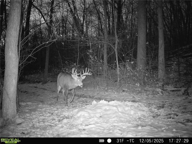 5742 Hilltop Drive NW, Strasburg, OH 44680 Photo 33