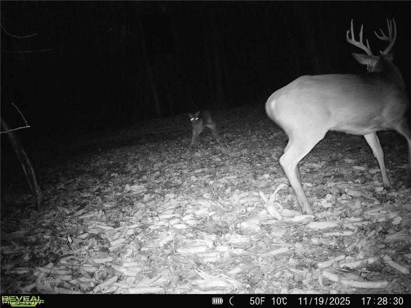 5742 Hilltop Drive NW, Strasburg, OH 44680 Photo 34