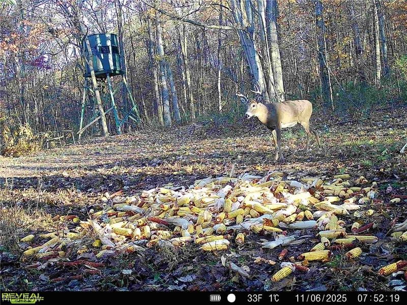 5742 Hilltop Drive NW, Strasburg, OH 44680 Photo 35