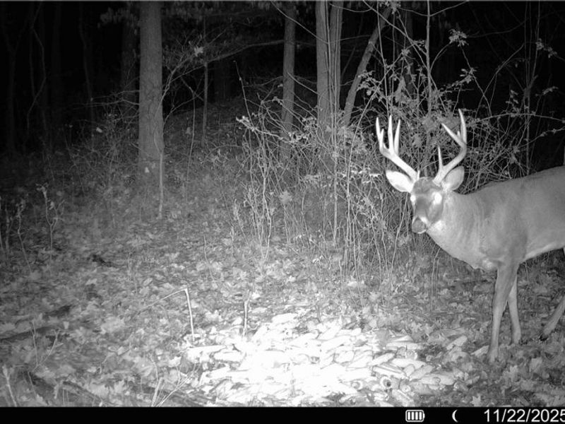 5742 Hilltop Drive NW, Strasburg, OH 44680 Photo 36