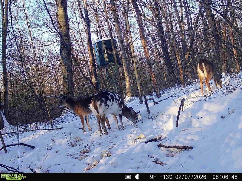 5742 Hilltop Drive NW, Strasburg, OH 44680 Photo 37