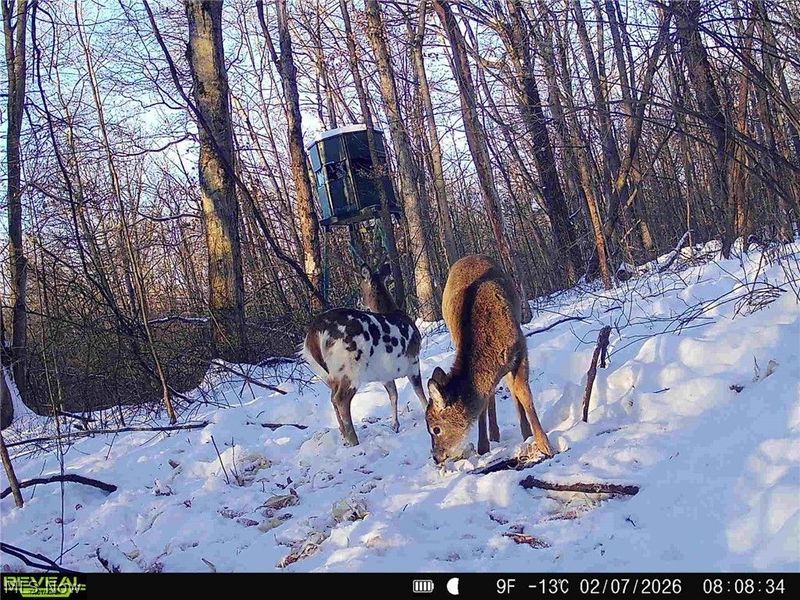 5742 Hilltop Drive NW, Strasburg, OH 44680 Photo 38