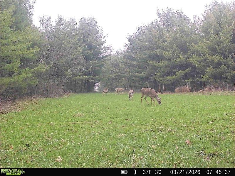 5742 Hilltop Drive NW, Strasburg, OH 44680 Photo 39