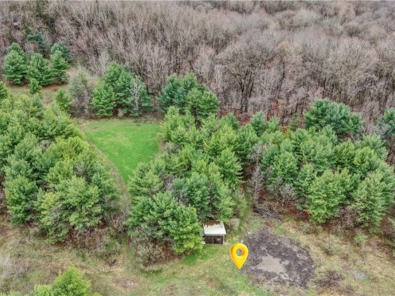 5742 Hilltop Drive NW, Strasburg, OH 44680 Photo 4