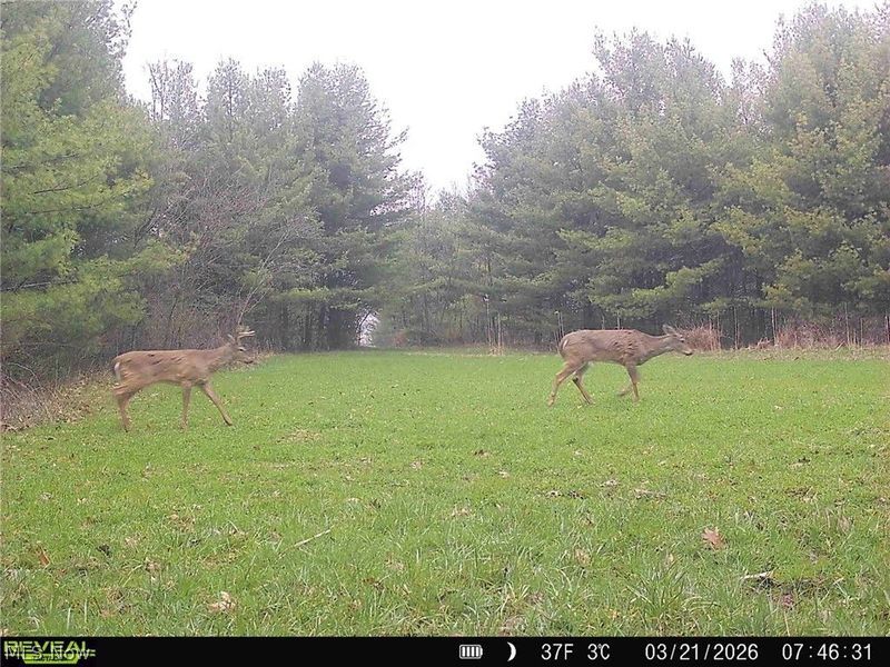 5742 Hilltop Drive NW, Strasburg, OH 44680 Photo 40