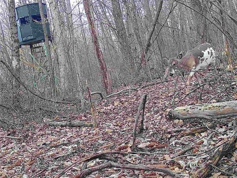 5742 Hilltop Drive NW, Strasburg, OH 44680 Photo 41