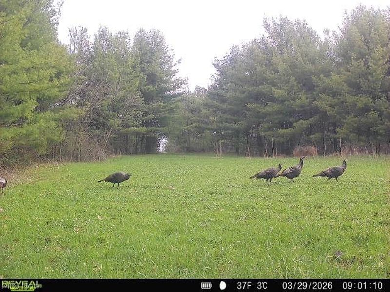 5742 Hilltop Drive NW, Strasburg, OH 44680 Photo 42