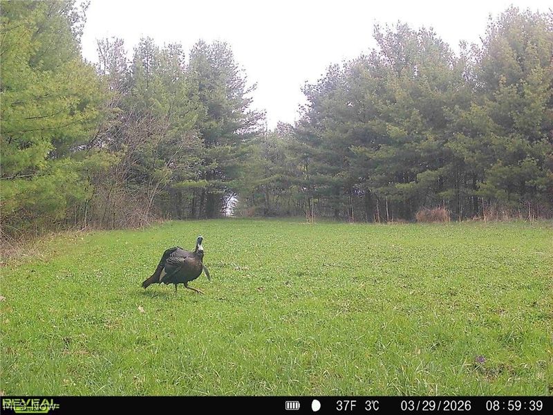 5742 Hilltop Drive NW, Strasburg, OH 44680 Photo 43