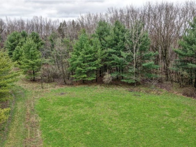 5742 Hilltop Drive NW, Strasburg, OH 44680 Photo 6