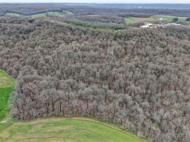 5742 Hilltop Drive NW, Strasburg, OH 44680 Photo 7