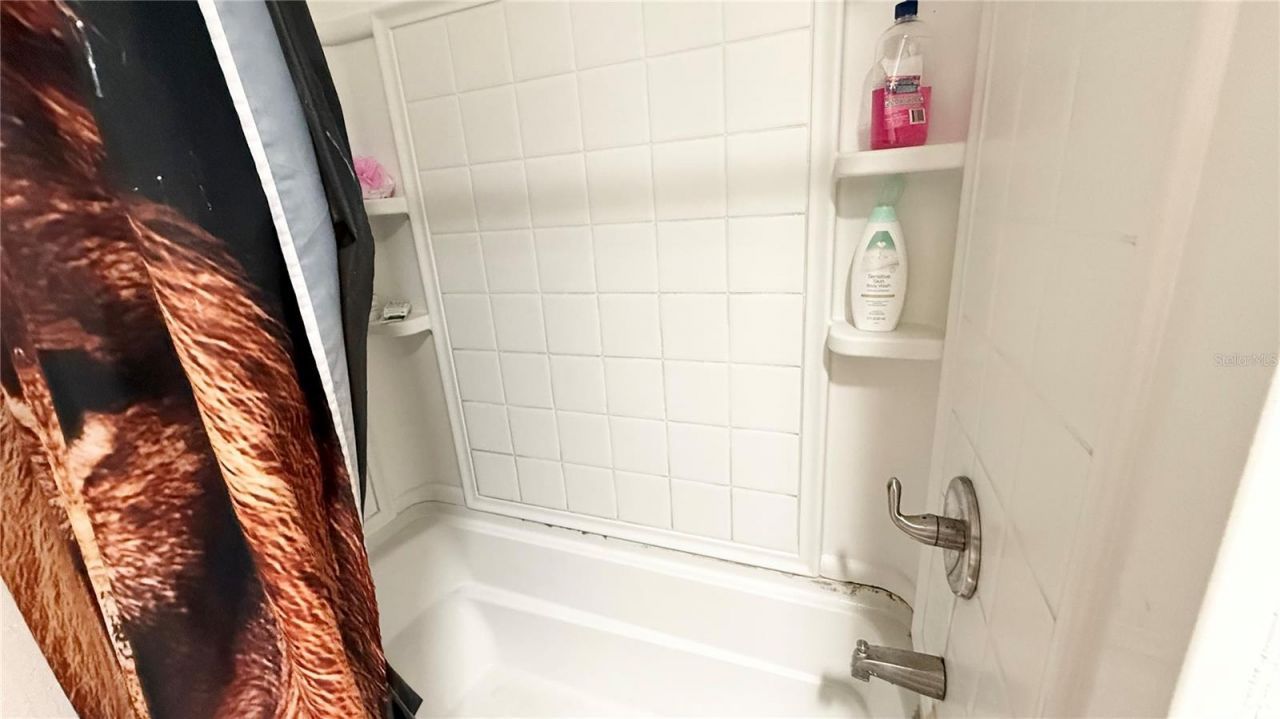 531 Arneson Avenue , Auburndale, FL 33823 Photo