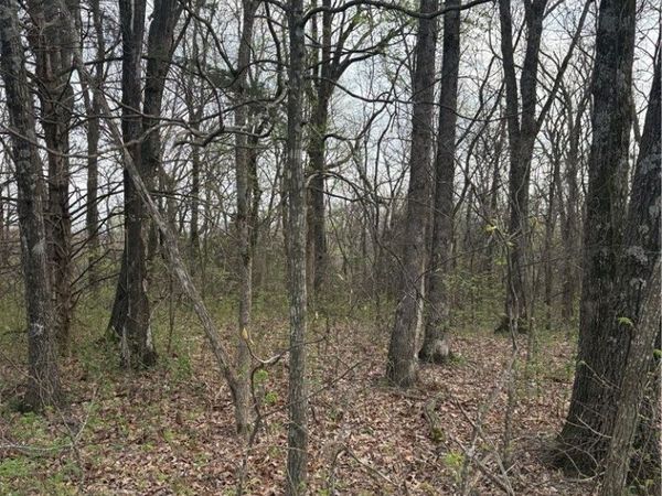 Lots 166 and 167 Huckleberry Circle , Unit 7-RURBAN, Rogers, AR 72756