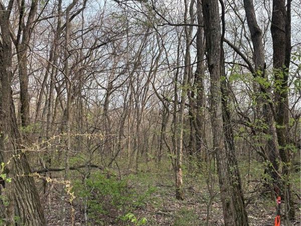 Lots 169, 170, 171 Huckleberry Circle , Unit 7-RURBAN, Rogers, AR 72732